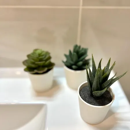 Apartment Perla De Mar Los Cristianos (Tenerife)